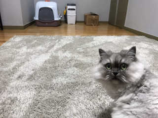 다인리아맘님이 올린 리뷰 사진 1