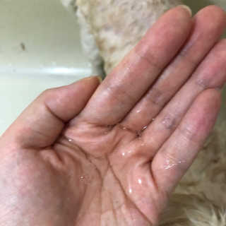 PatrickSon님이 올린 리뷰 사진 2