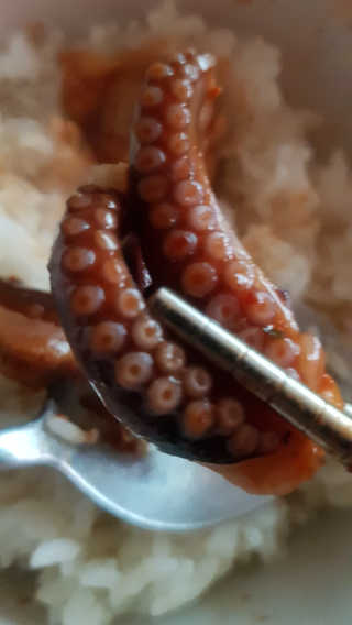 맵꾸미 쭈꾸미볶음 450g — 4점을 준 리뷰어가 2019년 10월 올린 사용 사진