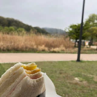 하니박님이 올린 리뷰 사진 3