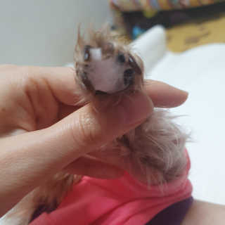솜희님이 올린 리뷰 사진 4