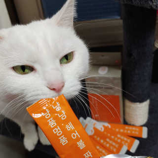 규빈띵쏘님이 올린 리뷰 사진 3