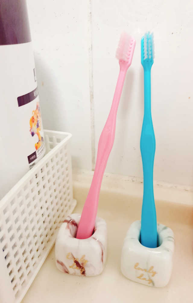 닦기쉬운 타나베 칫솔 리뷰 사진