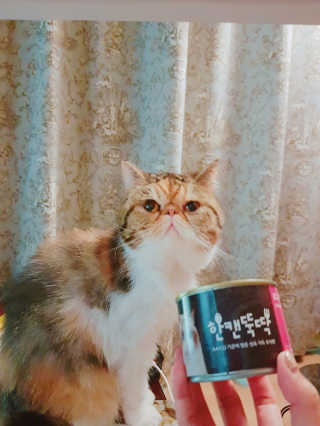 엘카몬님이 올린 리뷰 사진 4