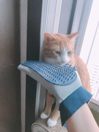 하린님이 올린 리뷰 사진 3
