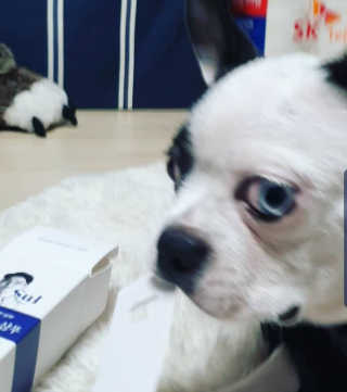 SeulkiYi님이 올린 리뷰 사진 1