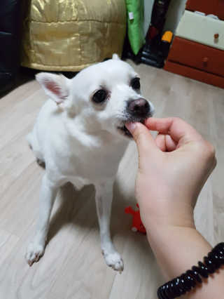 전지현님이 올린 리뷰 사진 2