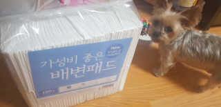 Jy님이 올린 리뷰 사진 2