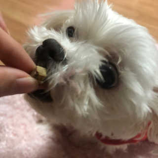 cherry님이 올린 리뷰 사진 3