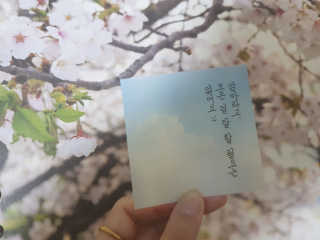 손지영님이 올린 리뷰 사진 3