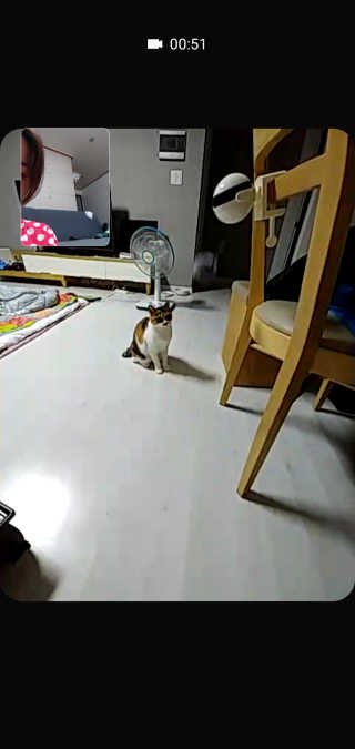 쮸동비님이 올린 리뷰 사진 3