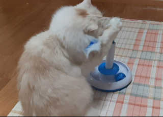 켈리심님이 올린 리뷰 사진 3