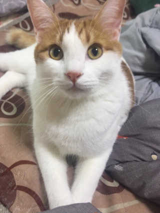 크롱크롱님이 올린 리뷰 사진 3