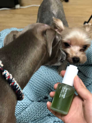 정봐기린님이 올린 리뷰 사진 1