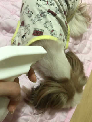 08학번님이 올린 리뷰 사진 3