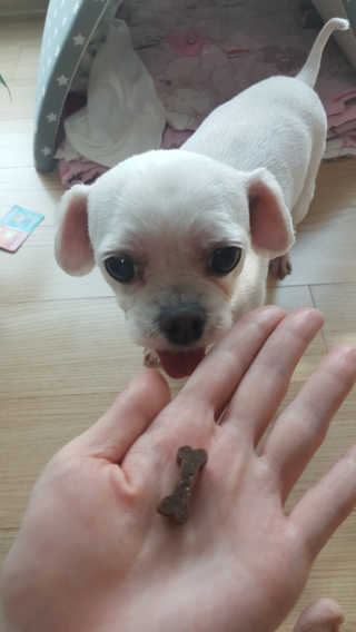 오늘은 더좋지님이 올린 리뷰 사진 1