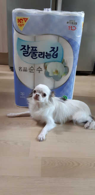 찡님이 올린 리뷰 사진 2