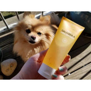 Peepingpomeranian님이 올린 리뷰 사진 1