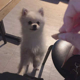 솜팡님이 올린 리뷰 사진 3