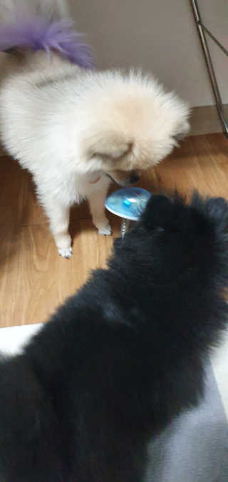 라미님이 올린 리뷰 사진 2