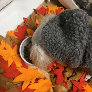 haeri님이 올린 리뷰 사진 4
