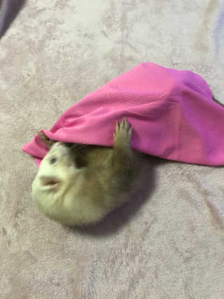 이소현님이 올린 리뷰 사진 2