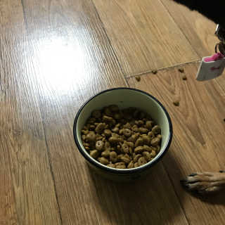 봉봉잉님이 올린 리뷰 사진 2