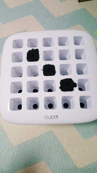 HeeJuChoi님이 올린 리뷰 사진 2