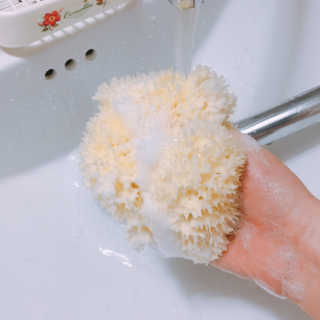 덤보님이 올린 리뷰 사진 3
