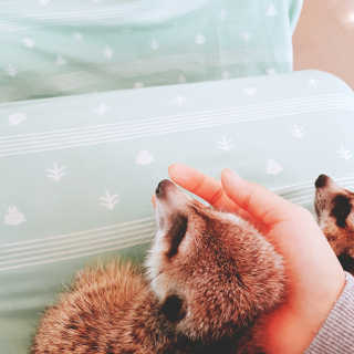 💜고다고다💜님이 올린 리뷰 사진 3