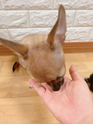 동글눈썹뚜두비님이 올린 리뷰 사진 2