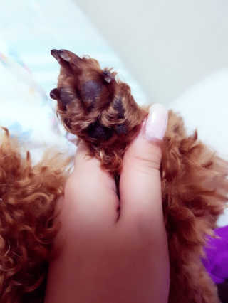 김은지님이 올린 리뷰 사진 3