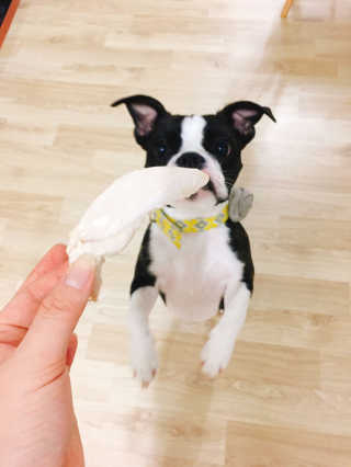 MinjiKim님이 올린 리뷰 사진 1