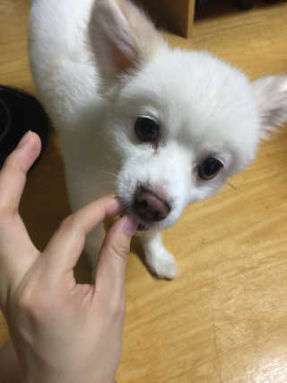 밍크찡님이 올린 리뷰 사진 2