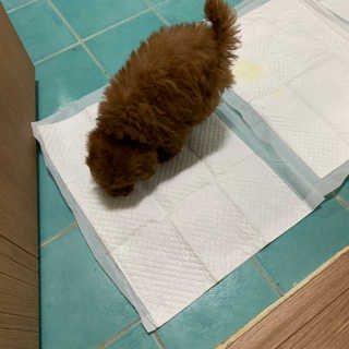 KellyChoi님이 올린 리뷰 사진 4