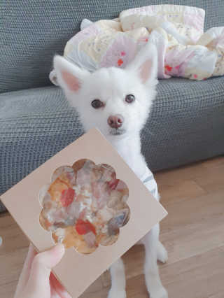 포비탄님이 올린 리뷰 사진 1