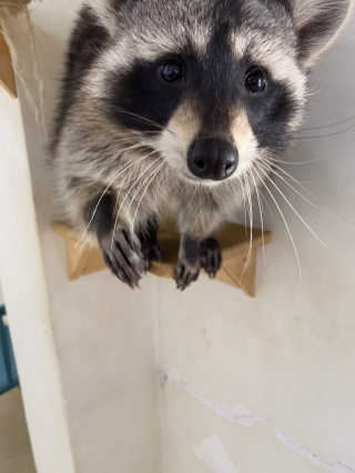 뚝쁘님이 올린 리뷰 사진 3