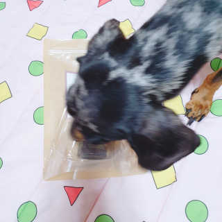 wooriYul님이 올린 리뷰 사진 3