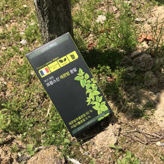 로하스웰 프랑스산 레몬밤 분말 — 5점을 준 리뷰어가 2018년 5월 올린 사용 사진