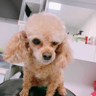 랑이님이 올린 리뷰 사진 3