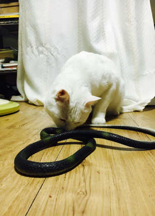 noname님이 올린 리뷰 사진 3