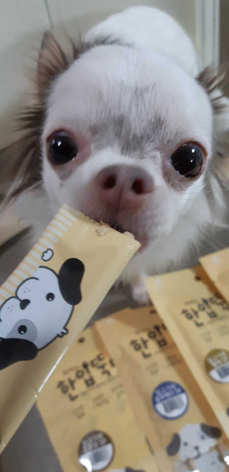 [펫토리아]짜먹는 한입뚝딱 강아지.고양이 마약간식 리뷰 사진