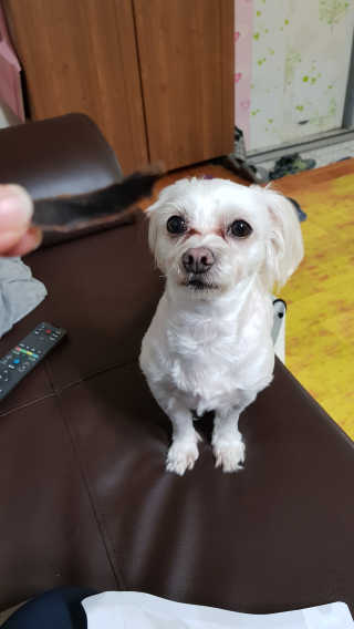 김서하님이 올린 리뷰 사진 3