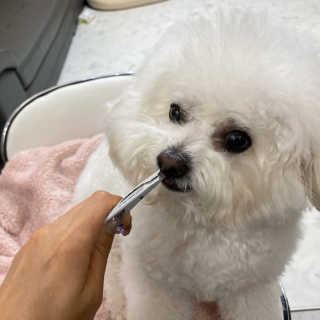 무밤쿠니님이 올린 리뷰 사진 2