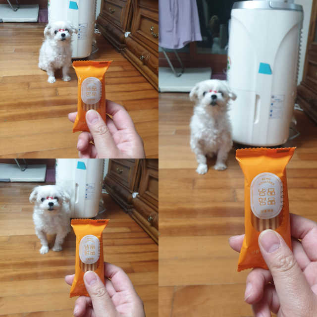 냥품멍품 맛있츄 리뷰 사진