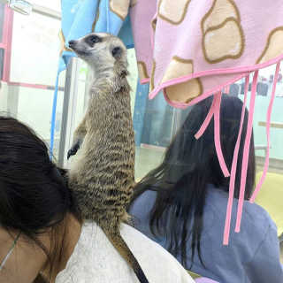 블루빛고양이님이 올린 리뷰 사진 3