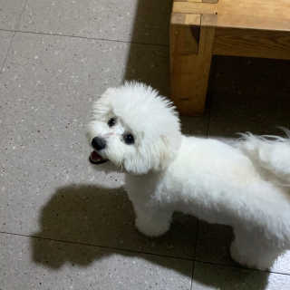 근님이 올린 리뷰 사진 2