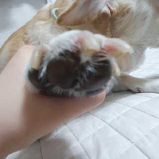 엘리님이 올린 리뷰 사진 3