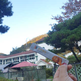 셔리홍님이 올린 리뷰 사진 3