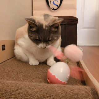 lala님이 올린 리뷰 사진 2
